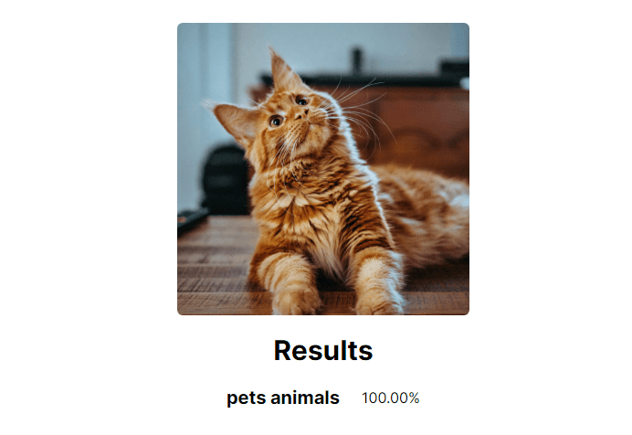 Image-classification-demo-screenshot